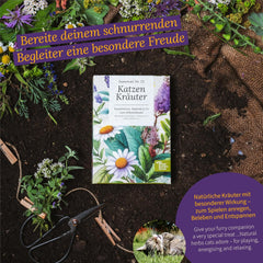 Magic Garden Seeds - Herbes pour chats : herbe à chat, valériane, sauge et herbe à chat - Boîte de graines avec 4 plantes pour jouer, grignoter et se détendre