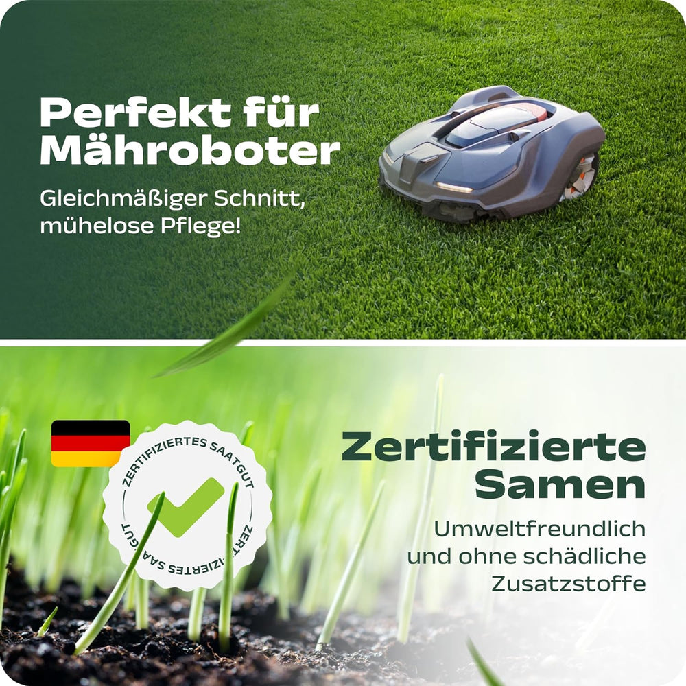 SEHR GUT Getestet | Rasensamen Schnellkeimend 1Kg Für 40M² | Frühjahr Sport Und Spiel Rasen | Grassamen Trockenresistent Für Rasensaat Und Nachsaat