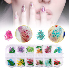 Getrocknete Blüten Nail Sticker, 2 Box 36 Stücke 3D Nail Art Kunstharz Blumen Sticker, Blüten Getrocknet Nagelkunst Trocken Blumen Nagel Zubehör für Nagel Dekor DIY Design avec 1 pince à épiler