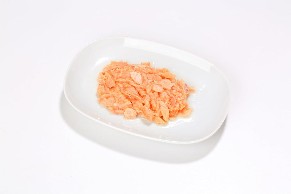 Almo Nature HFC Jelly - Nassfutter für ausgewachsene Katzen - Lachs - Qualité humaine, sans gluten et monoprotéine - 6 x 70 g