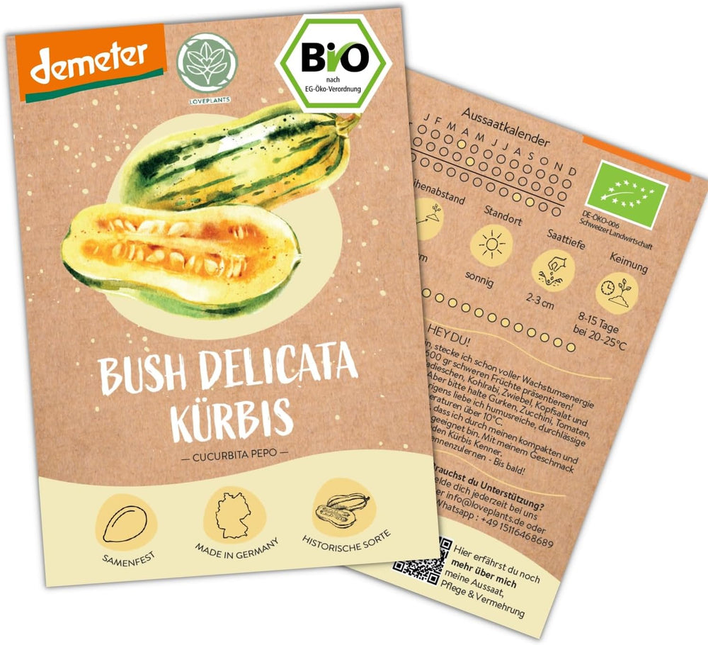 Mini graines de concombre mexicaines biologiques, 10 graines de concombre, taux de germination élevé, certifiées Demeter et pollinisation ouverte | LOVEPLANTS Graines de légumes pour lit surélevé de jardin de balcon - Variétés de légumes d'héritage