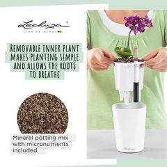 LECHUZA DELTINI blanc brillant 14900