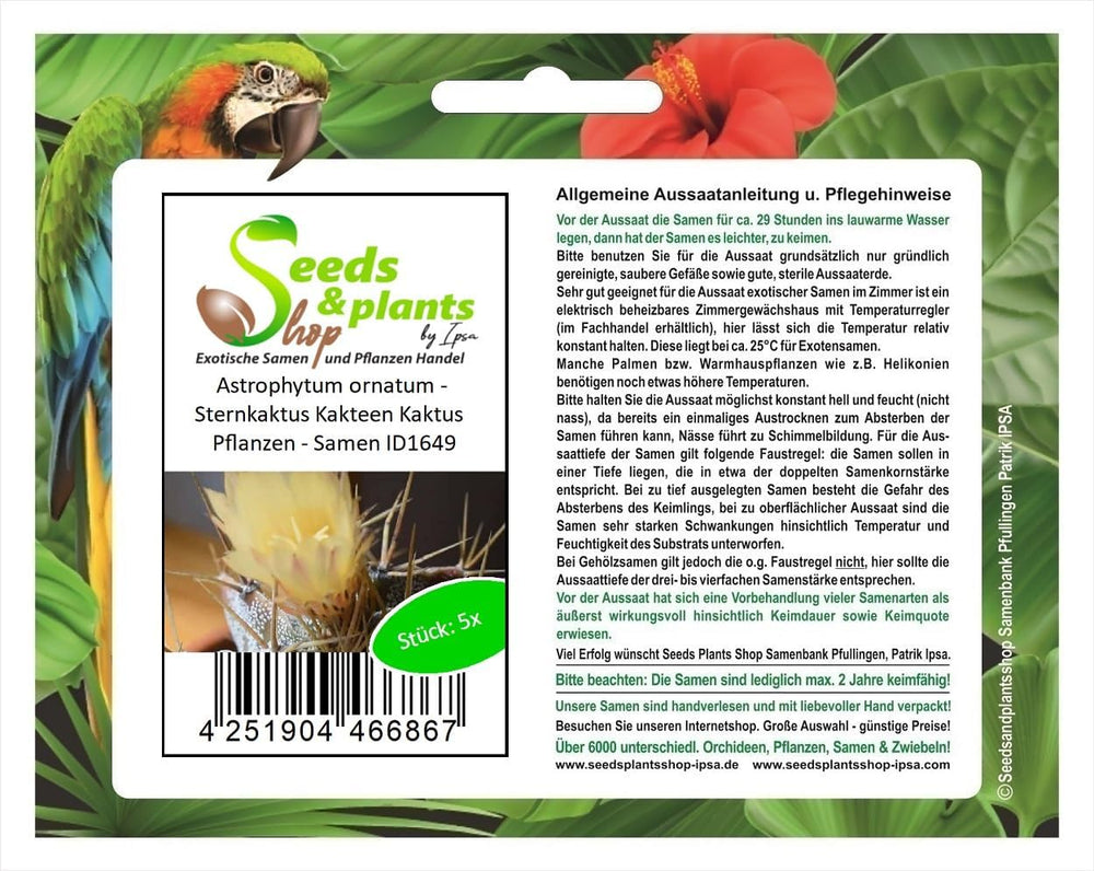 Stk - 5X Astrophytum Ornatum - Sternkaktus Kakteen Kaktus Pflanzen - Samen ID1649 -