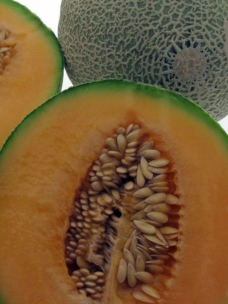 Melone 'Blenheim Orange' (Cucumis Melo) - Ca. 10 Samen