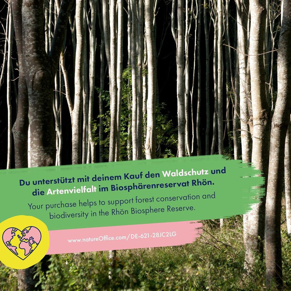 Fleurs séchées - 10 variétés de fleurs pollinisées gratuitement - éternelles et belles - Ensemble de graines pour débutants, comme petit cadeau ou pour un usage personnel