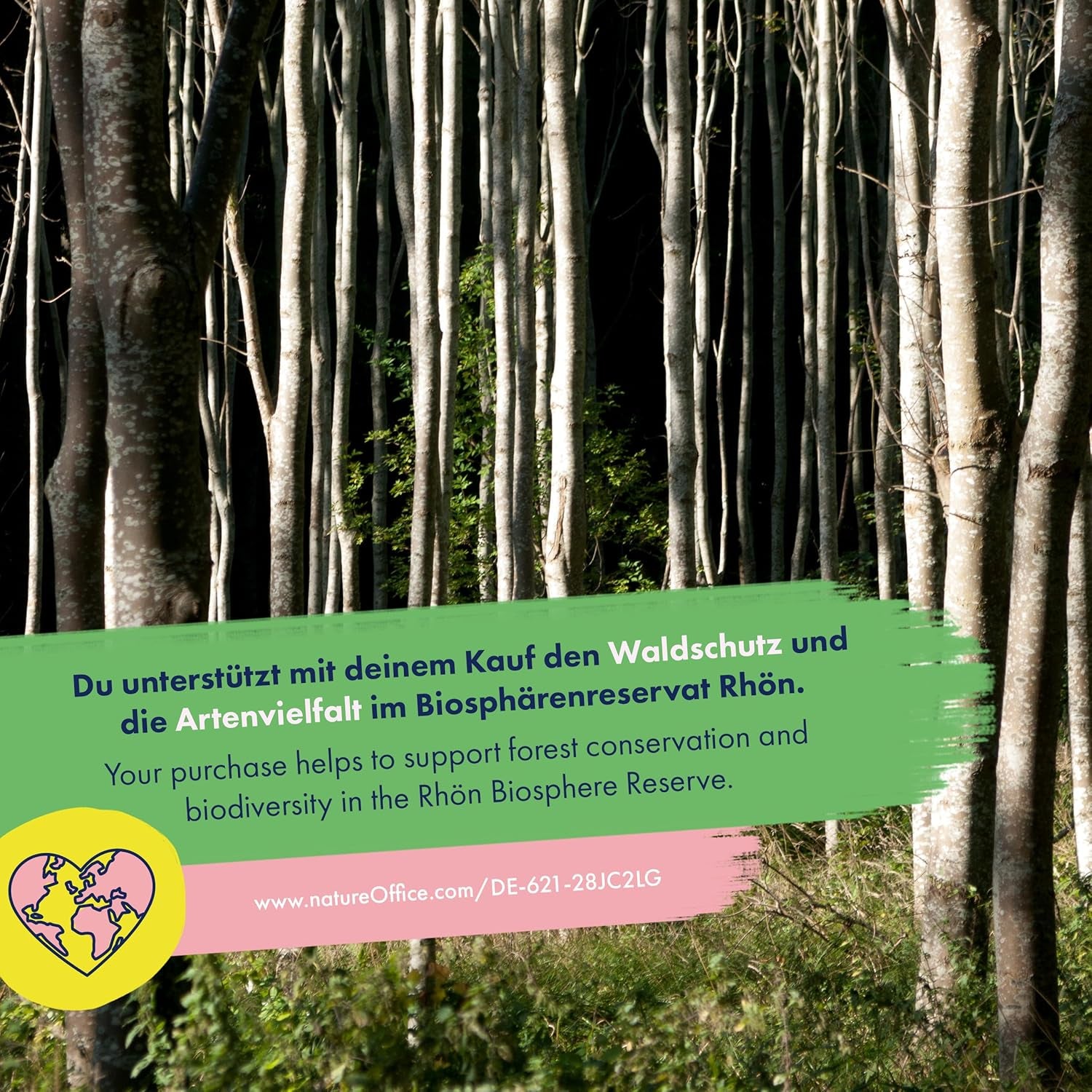 Blooming Rainbow - 6 mélanges de fleurs pollinisées gratuits - Spectaculaires et colorés - Ensemble de graines pour débutants, comme petit cadeau ou pour un usage personnel