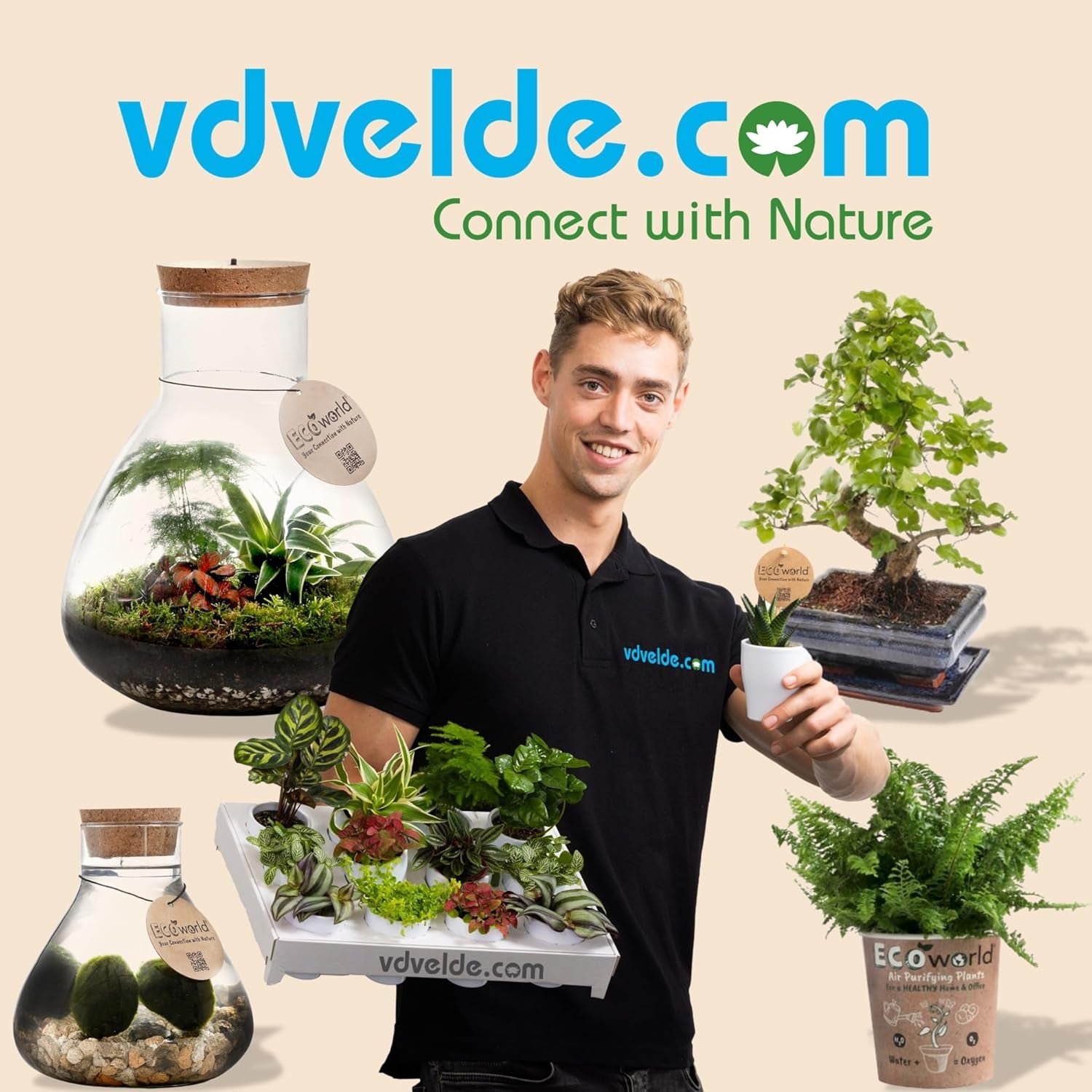 Vdvelde.Com - Ecoworld Mini Sukkulenten Set Echt - 10 Verschiedene Arten Sehr Pflegeleicht, Benötigen Wenig Wasser - 10 Mini Sukkulente Echte Pflanzen Ø 6 Cm - Höhe 8-15 Cm