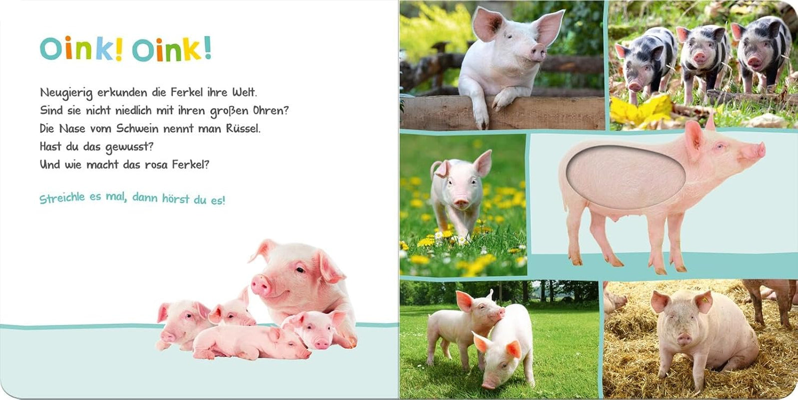 Écoute, qui cela pourrait-il être ? - Animaux de la ferme : caresser et écouter | Livre d'images en carton de haute qualité avec 5 sons et éléments tactiles pour les enfants de plus de 18 mois Baby Toys Naty Shop