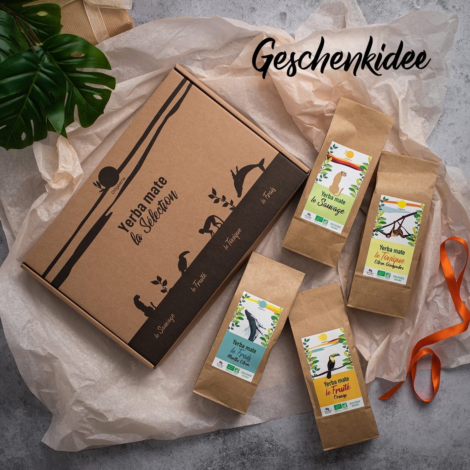 ORIGEENS COFFRET THÉ BIO MATE X4 I Yerba Mate Bio 4X80G I Coffret thé Yerba Mate, idée cadeau