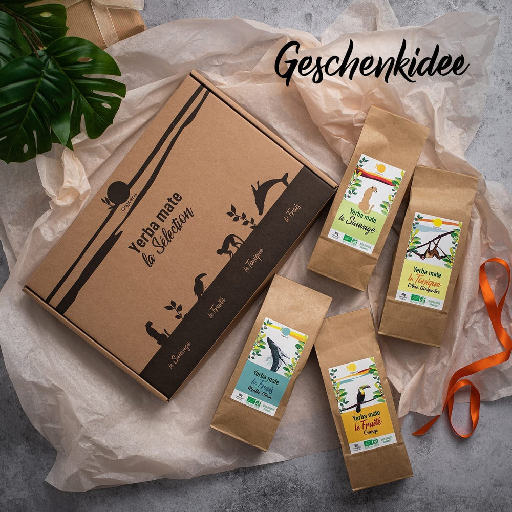 ORIGEENS COFFRET THÉ BIO MATE X4 I Yerba Mate Bio 4X80G I Coffret thé Yerba Mate, idée cadeau