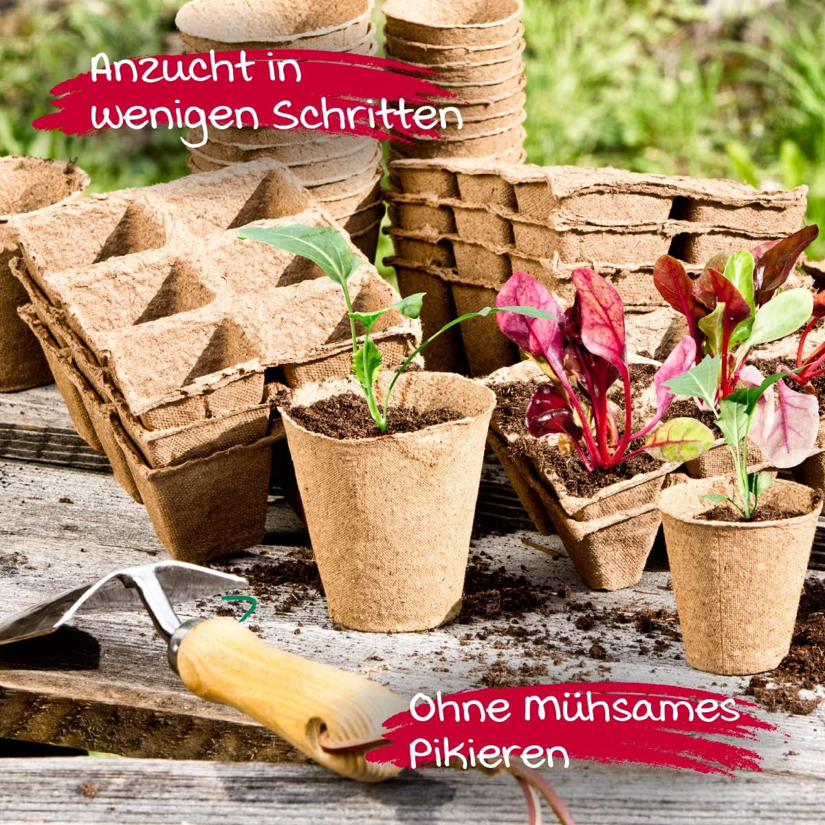 Ghivece pentru răsaduri Windhager, 48 bucăți, diametru 8 cm, maro, fără turbă, 04343