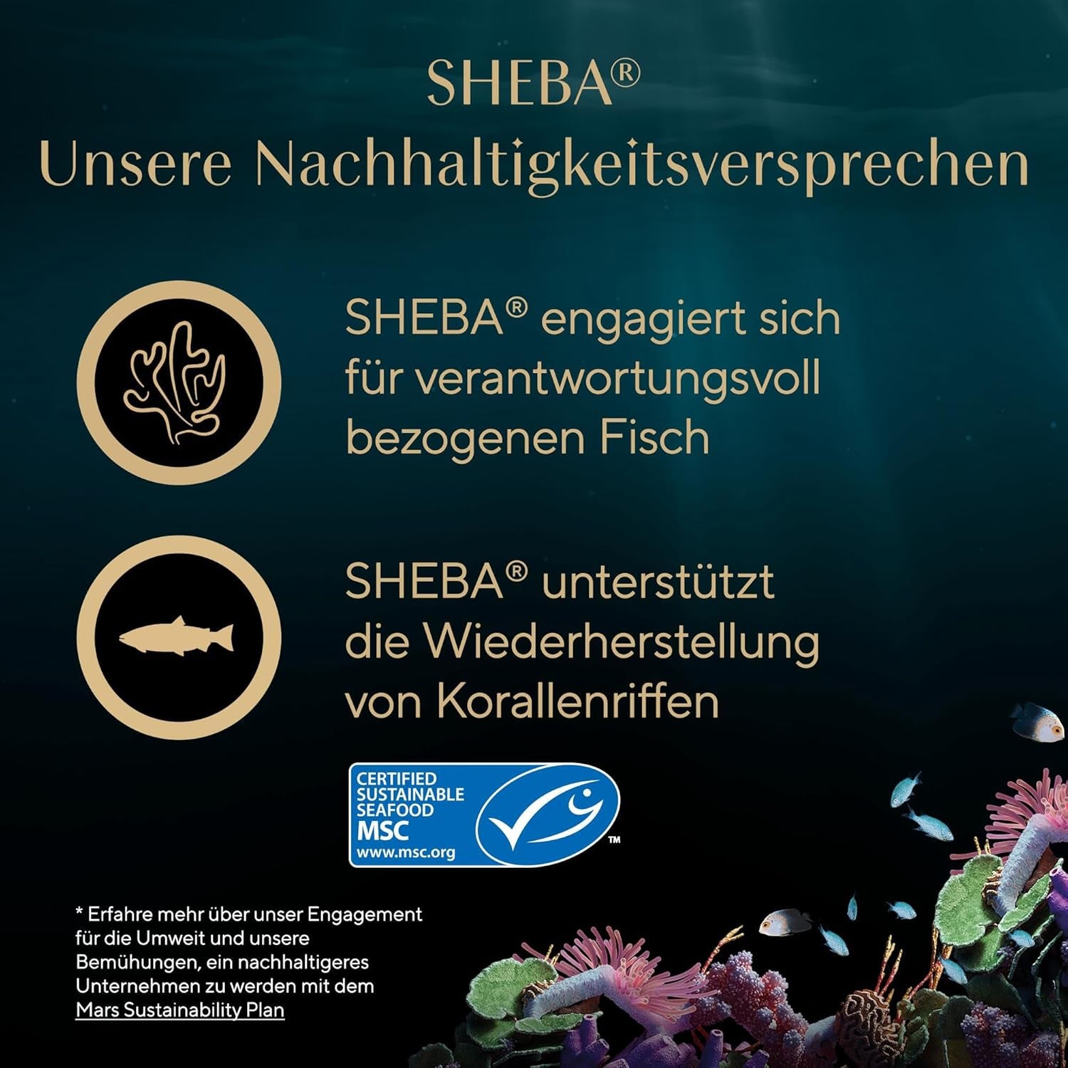 SHEBA Filets Adult Katzenfutter en Sauce au Poulet, Hochseefisch et Garnelen 16 x 60g Coquille
