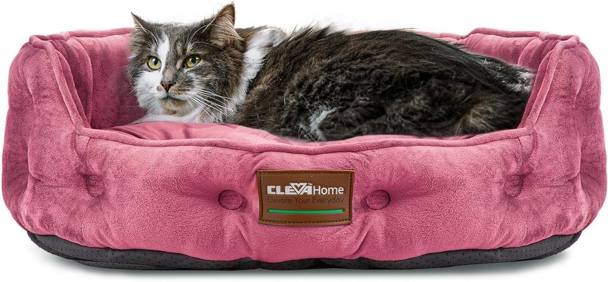 Lits et Canapés, Couvertures et Meubles, Animaux, Chats, Lits pour chats, Chats - lits, matelas