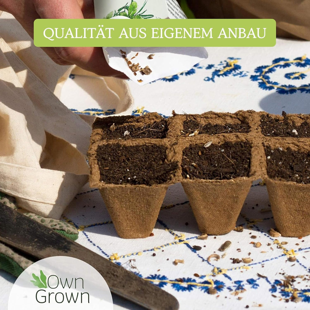 OwnGrown Gemüse Samen Set - 12 Pflanzensamen Sorten für Hochbeet und Garten - Praktische Box mit Gemüsesamen für den Anbau Frischer Ernte zu Hause - Ideal für Gartenliebhaber