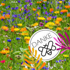 100 G Blumensamen Für 100 Qm Blumenwiese Bienen Booster Im Eigenen Garten Ein- Und Mehrjährig (Blumen-, Kräuter- & Kulturartensamen) Für Ein Bienenparadies Insektenfreundlich
