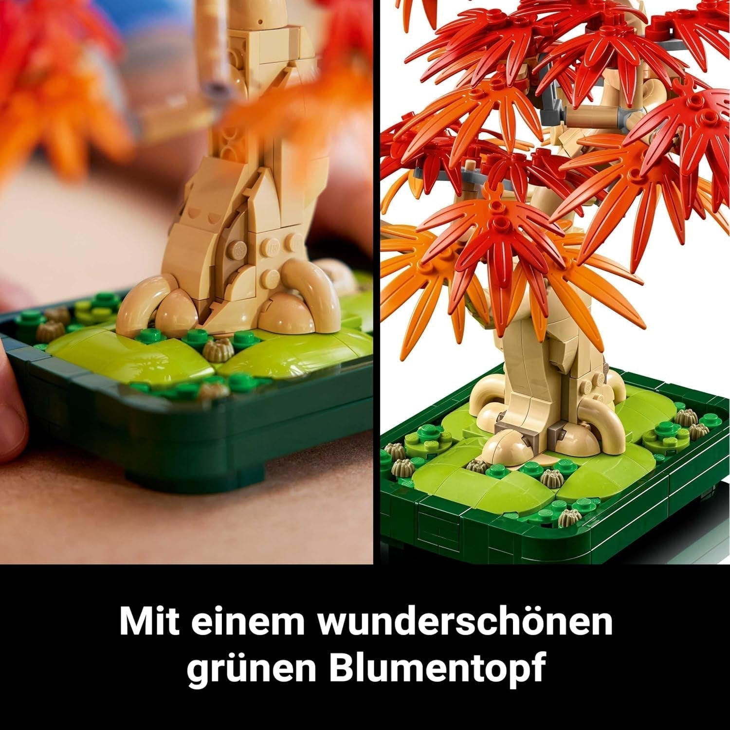 LEGO Botanicals Érable rouge du Japon - Bonsaï - Kit de plantes artificielles avec feuilles rouges et oranges, plus bol - Décoration d'intérieur - Idée cadeau pour adultes - 10348 Jeux de construction Besuche den LEGO-Store
