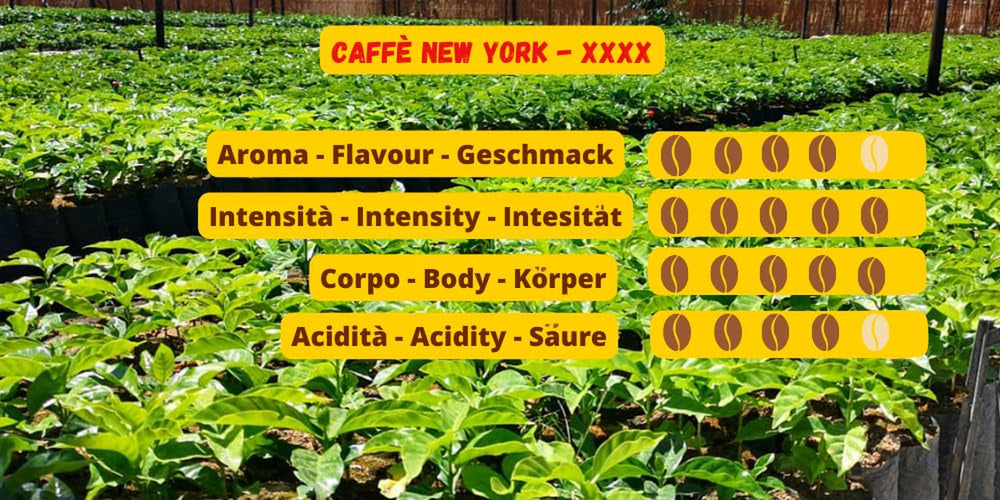 Caffè New York - XXXX - Café en grains - 500g