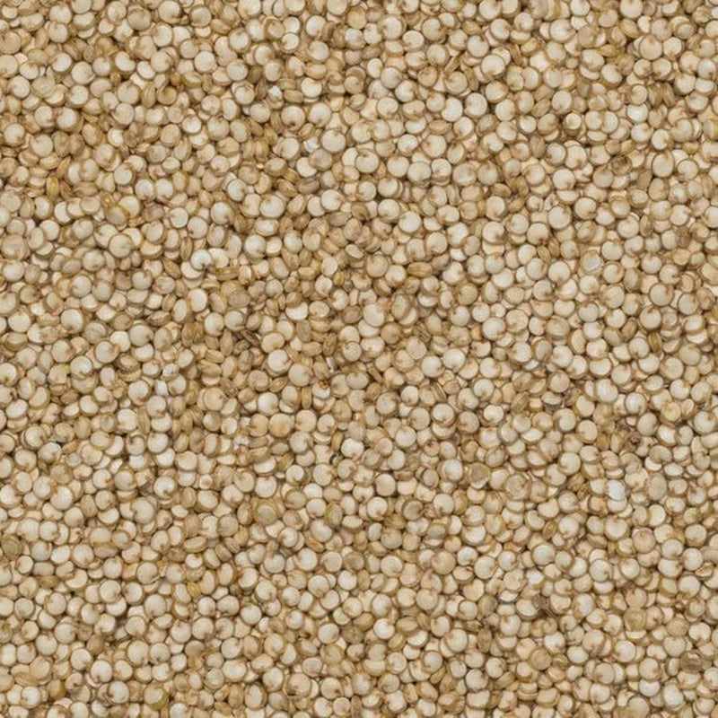 Grains de quinoa biologiques Wholefood Earth – 2 kg | Cruel | Sans OGM | Végétalien | Riche en fibres | Certifié biologique