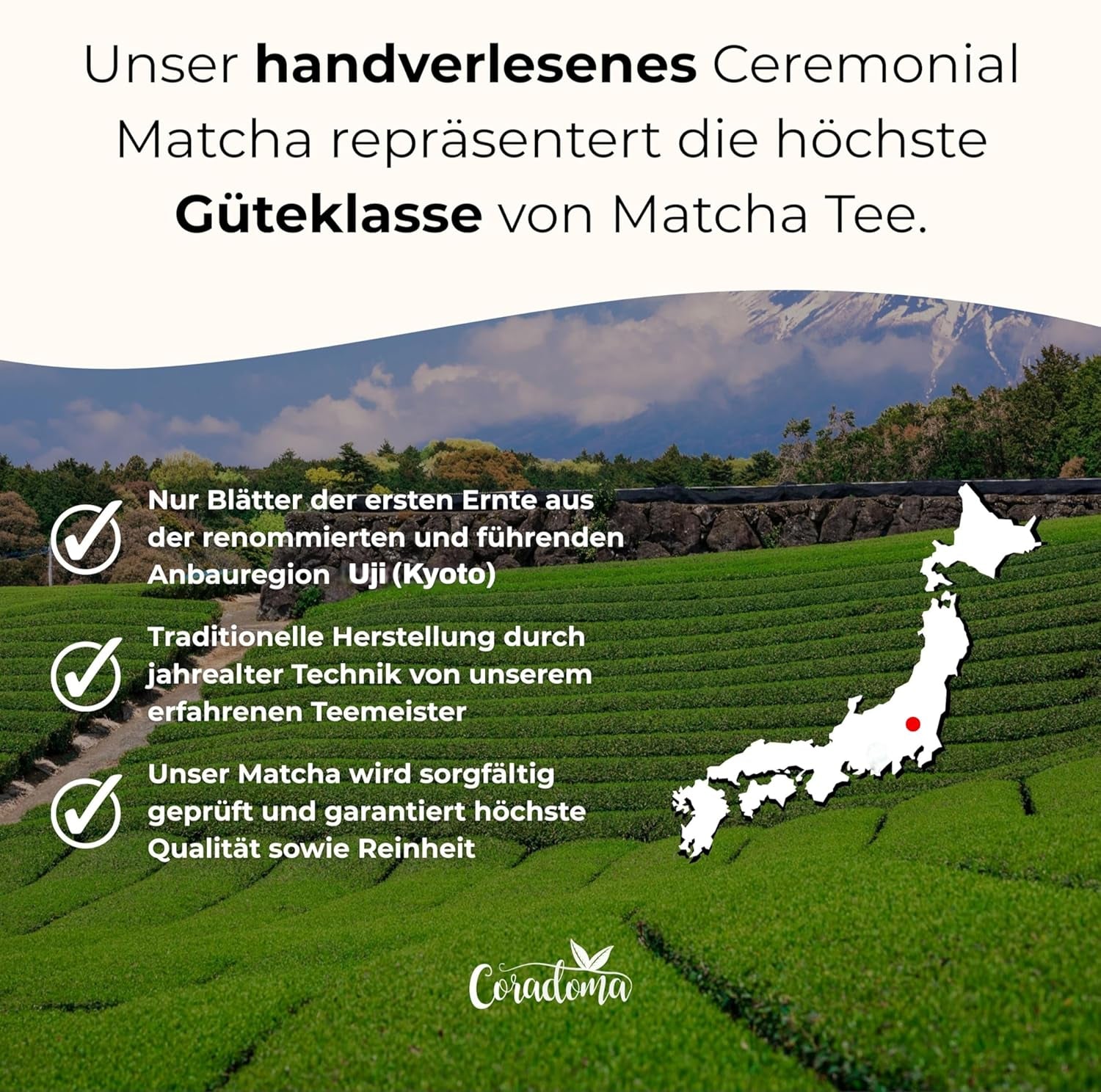 Matcha de qualité cérémonielle du Japon – Poudre de matcha 100 % naturelle, moulue à la main dès la première récolte, thé vert japonais original en boîte de 40 g – Qualité pure et traditionnelle