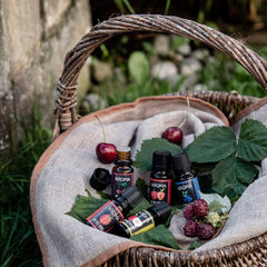 Myarôme | Coffret : Forêt & Prairie - Arôme naturel pur avec arôme de fruits et arôme de fruits (5 x 10 ml) | Édulcorants Naty Shop sans sucre et non sucrés