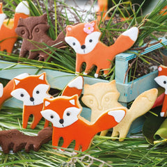 0255051 Emporte-pièce en plastique, type renard