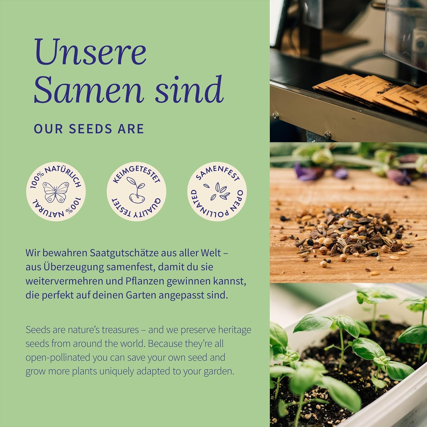 Magic Garden Seeds - Tomaten Raritäten Saatgut-Box Mit 9 Historischen Sorten - Bunte, Aromatische & Samenfeste Tomaten Für Garten, Hochbeet & Topf - Mit Geschichte & Geschmack