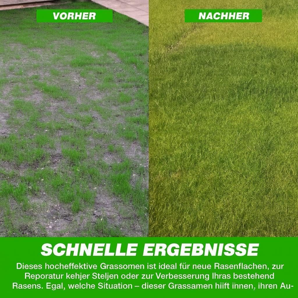 Allzweck-Rasensamen Schnellkeimend – Strapazierfähige, Schnellwachsende Garten-, Spiel- Und Sportrasensamen, Trockenresistent, Ideal Als Neu-Rasensaat Oder Als Reparatur-Rasennachsaat
