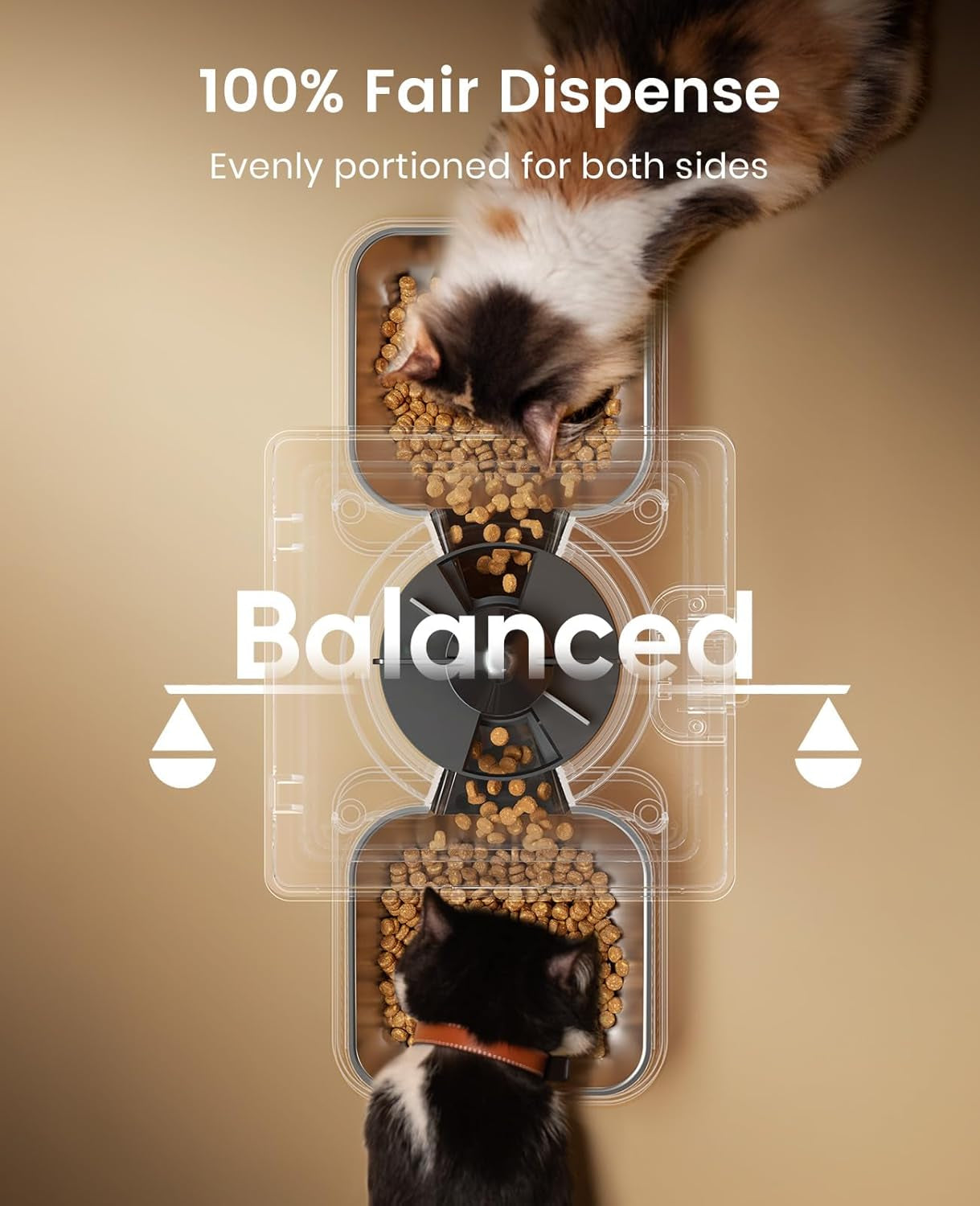 oneisall 5L Futterautomat Katze 2 Napfe, Katzenfutter Automat mit einem Knopf, Einfache Bedienung, Futterspender für Katzen/Hunde, mit Edelstahlschüssel, Voice Recorder, for small/mittlere Haustiere