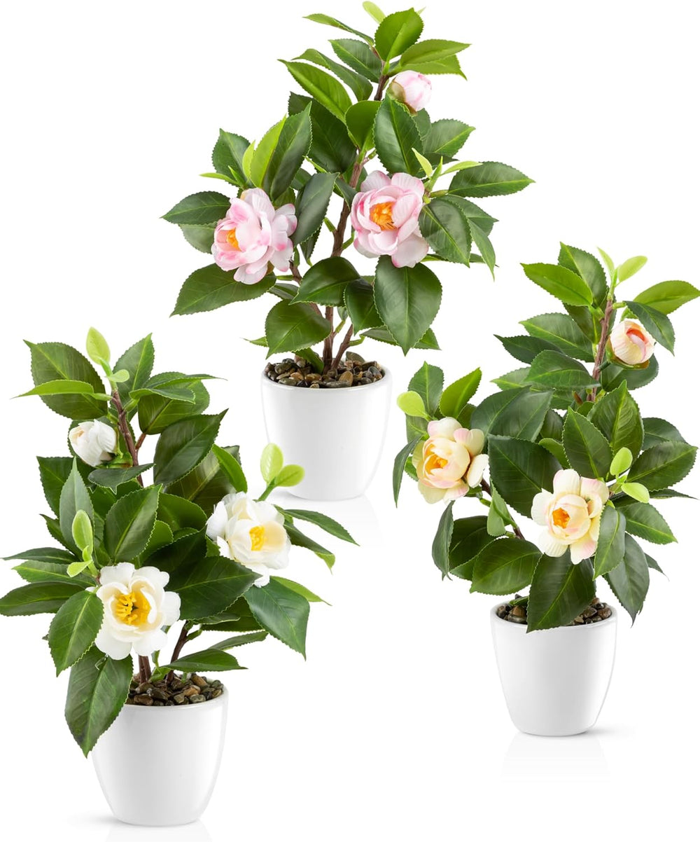 PASCH® Begonie Im Hochglanz-Keramiktopf | Kunstblumen Im Topf | Künstliche Blumen Wie Echt | Fake Blumen | Kunstblumen Wie Echt (Japanische Begonie, 3 Stück, 16Cm)