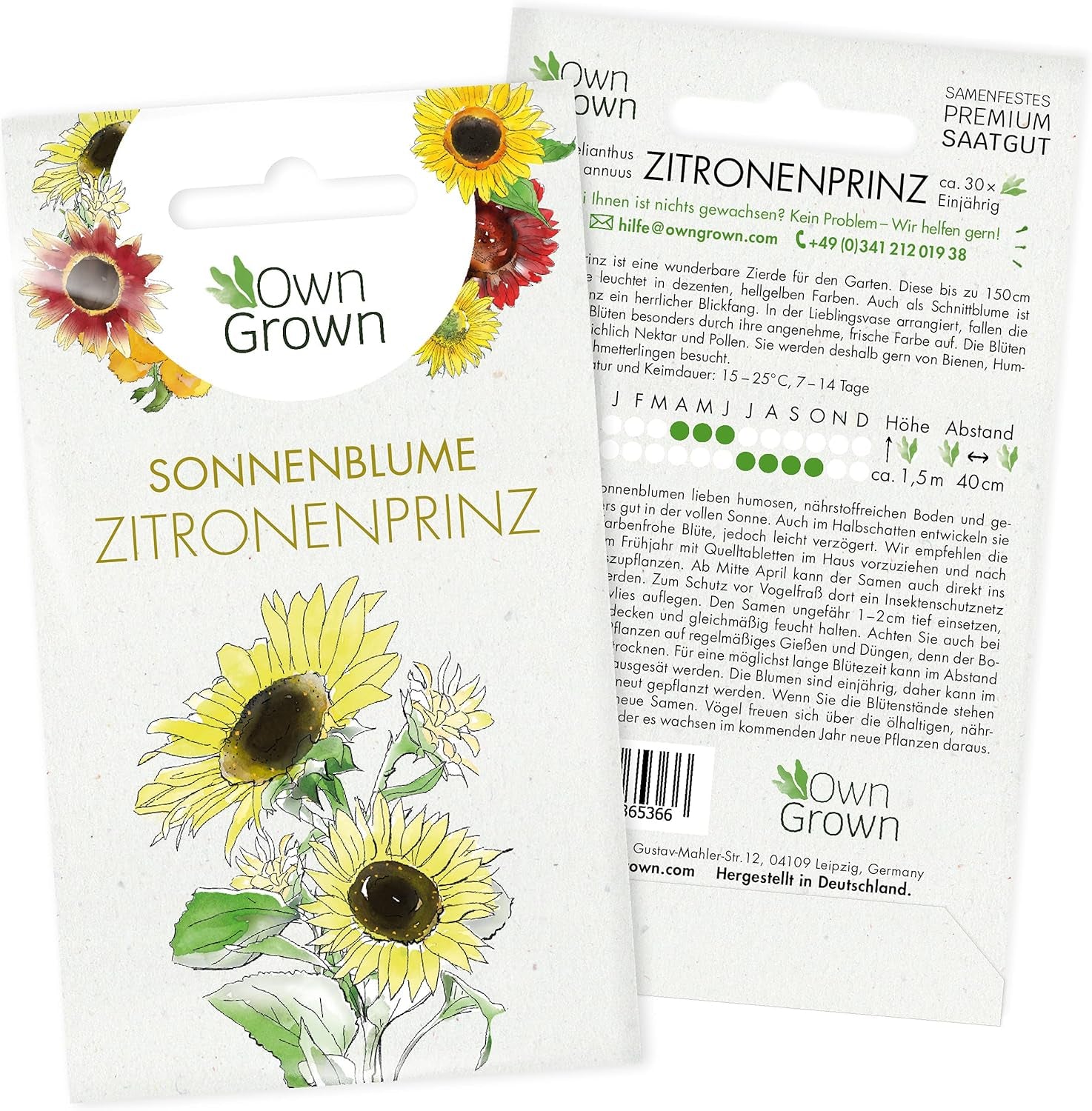 Graines de tournesol Discus jaunes (Helianthus annuus) : graines de tournesol de qualité supérieure, graines de tournesol pour la culture d'environ 20 plantes de tournesol – graines de fleurs respectueuses des insectes de OwnGrown