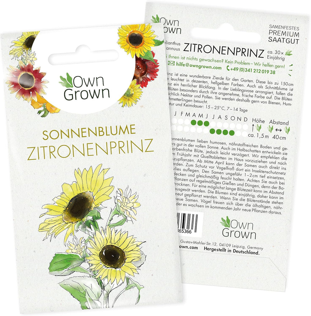 Graines de tournesol Discus jaunes (Helianthus annuus) : graines de tournesol de qualité supérieure, graines de tournesol pour la culture d'environ 20 plantes de tournesol – graines de fleurs respectueuses des insectes de OwnGrown