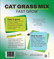 R&R SHOP - Mischung Aus Katzenminzensamen, Schnelles Wachstum Für Eine Glückliche Katze, Hochwertige Europäische Samen (150Gr)