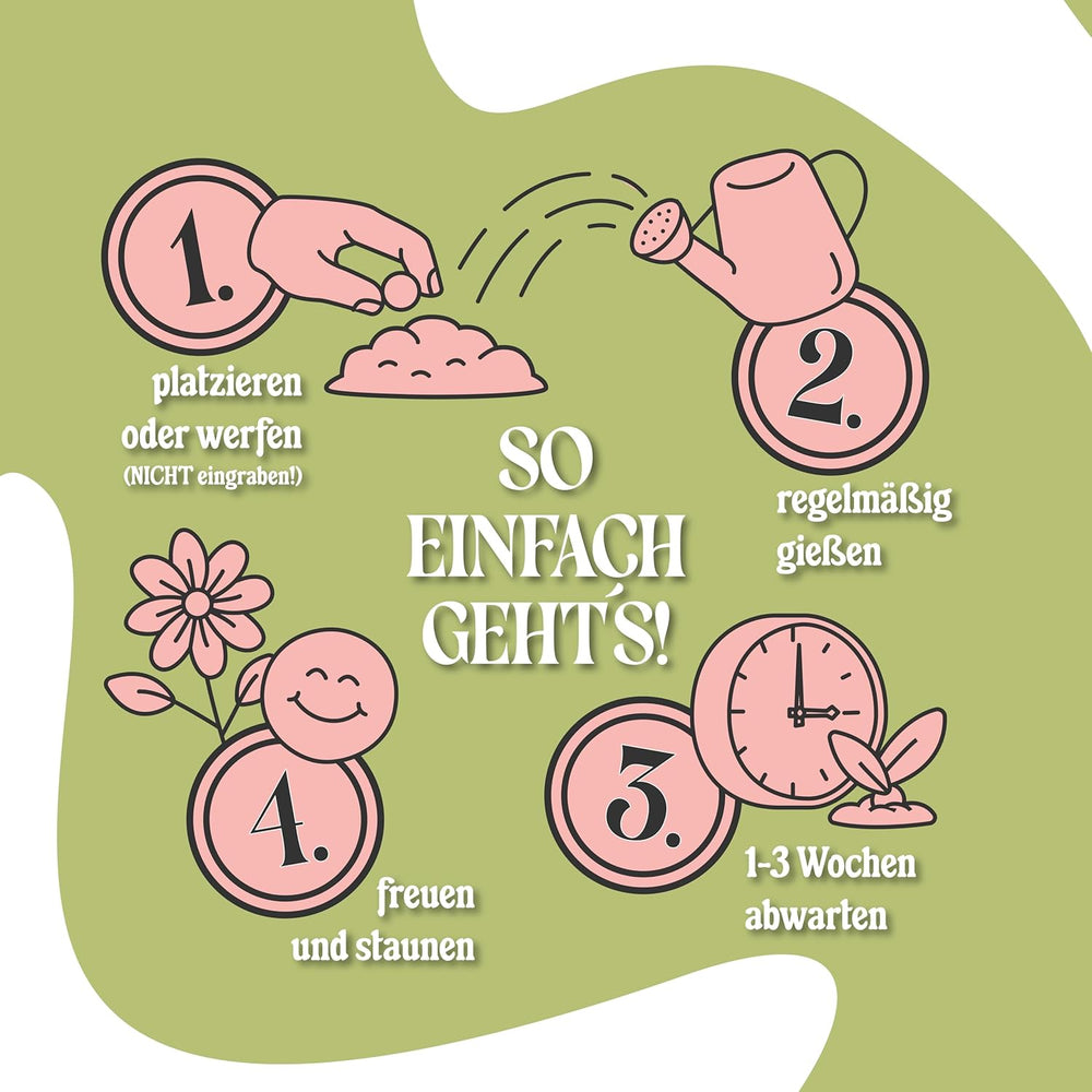 LouMaxx Ensemble de bombes de graines faites à la main 10 x 3, cadeau de bombe de graines, graines de fleurs comme cadeaux de fête, graines durables pour cadeaux de fête d'enfants, boules de jardinières respectueuses de l'environnement avec plus de 50 types de graines de fleurs