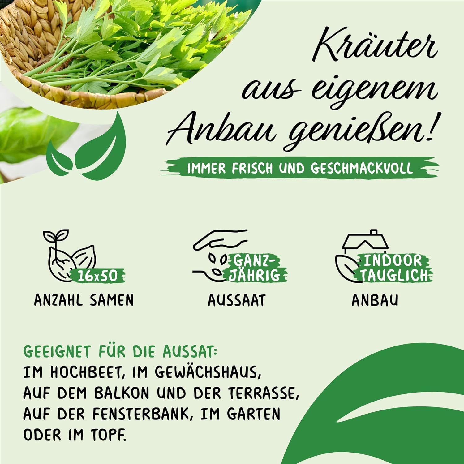 Prademir – Kräutersamen Set aus 16 beliebten Küchenkräutern – Kräuter Anzuchtset mit 100% Natursamen au Portugal – Kräuter Saatgut à l'origan, thym, marjolaine, romarin, aneth, basilic, sauge uvm