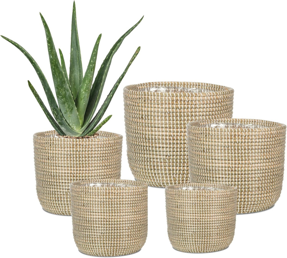 Scheurich Seagrass 17, pot panier/pot panier jonc de mer, couleur : blanc, diamètre 17 cm, hauteur 16 cm, volume 3,5 l.