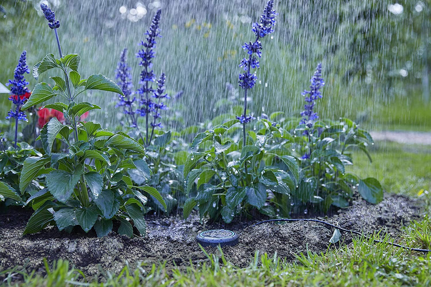 Cablu prelungitor Gardena (10 m) pentru senzor de ploaie și senzor de umiditate a solului, cablu de conectare cu sistem Easy Click, extensibil până la 105 m, pentru utilizare supraterană și subterană (01868-20)