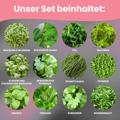 LERAVA Kräutersamen Set – 12 Sorten: Basilicum Samen, Parsilie Samen, Coriandre, Origan & plus – Saatgut für frische Kräuter im Garten oder Topf, Premium Samen für Küche & Balkon - Samen set, graines