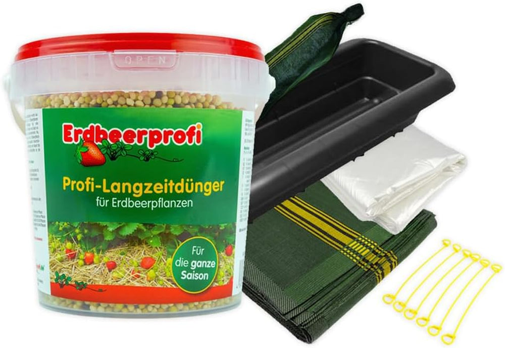 Erdbeerpflanzen Anbau-Set: 20 Gemischte Erdbeerpflanzen Inkl. Dünger - Sorten: Daroyal, Korona, Amandine, Favori - Frigo-Erdbeeren Von Erdbeerprofi.De