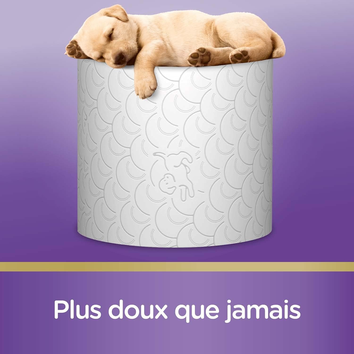 Papier toilette rembourré (12 paquets de 7 rouleaux) - doux et confortable - respectueux de l'environnement - durable