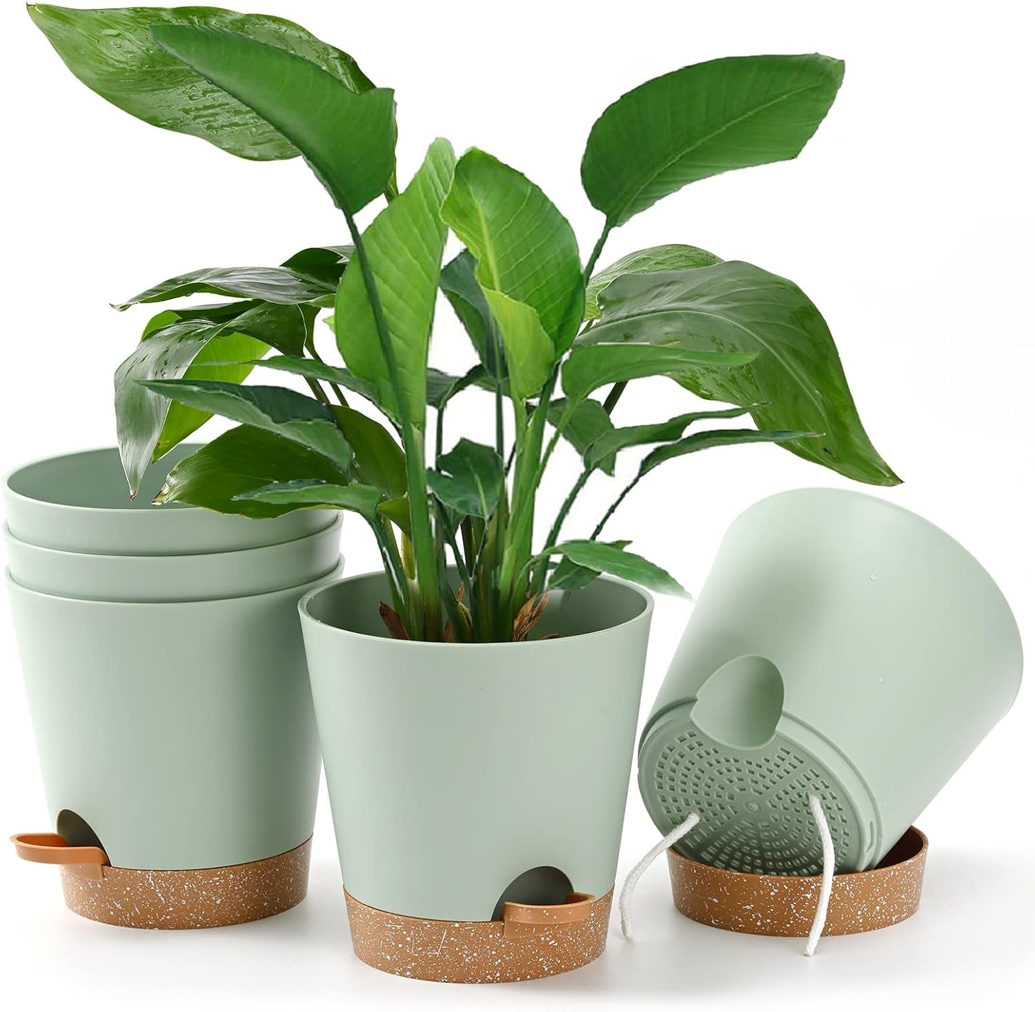 Pot de Fleur 6 Pièces 12,7 cm Jardinière à Arrosage Automatique Pot de Fleur intérieur extérieur à Drainage élevé avec Plateau de réservoir et Bord d'arrosage Jardinière de Jardin Jardin