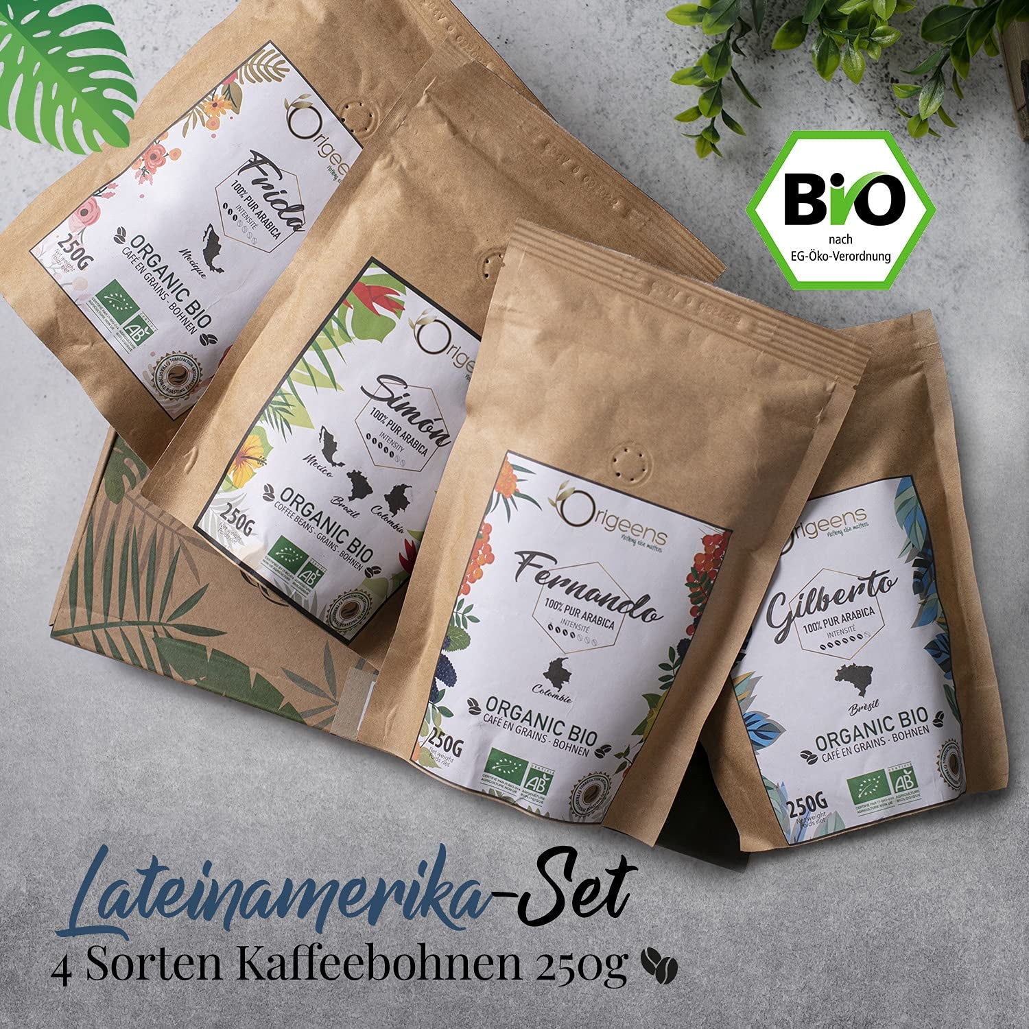 ORIGEENS Bio Kaffeebohnen Probiersset 1kg | Premium Bio Arabica Café Ganze Bohnen Set 4x250g | Röstung traditionnel | Ensemble de cafetières à café