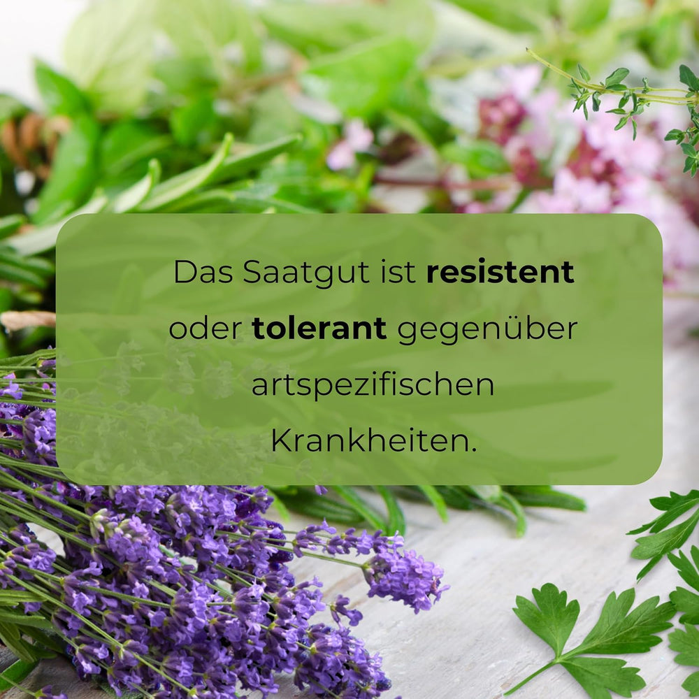 Cosmos Sensation Mix 1g graines, Cosmos Mix Fleurs d'été, Plantes de jardin Plantes de balcon, Graines de fleurs