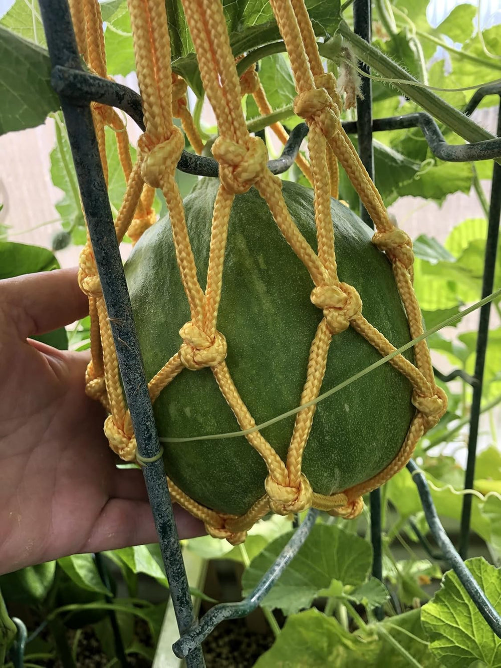 Melonen Hängematten Wiegen, 5 Stück Netze Für Melonen, Perfekt Für Den Anbau Von Cantaloupe, Wassermelone Im Vertikalen Garten (Orange)