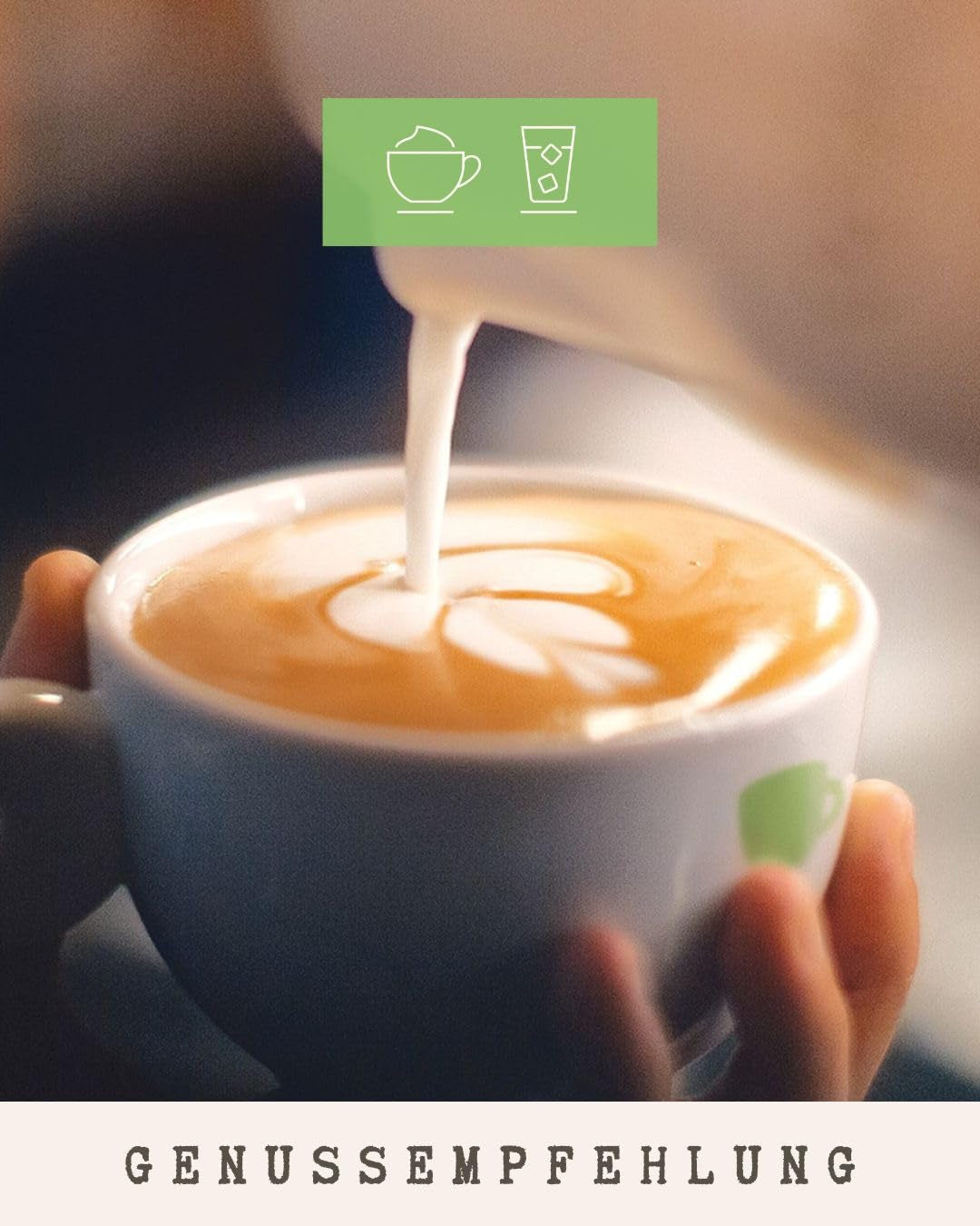 Café - Tempixque I 100% Arabica I Kaffeebohnen 1kg I Idéal pour les machines à café, les cafetières et les presses françaises avec schokoladig, nussigen Aroman I miltre Röstung