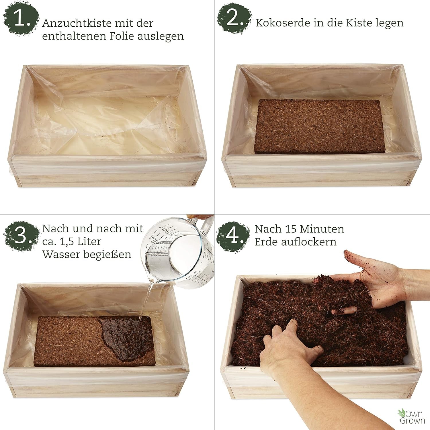 OwnGrown Kit de culture de graines avec boîte en bois et 8 variétés de graines de plantes : kit de culture de graines de légumes, de fraises et d'herbes pour enfants – Mini serre et mini kit de démarrage de jardin par OwnGrown
