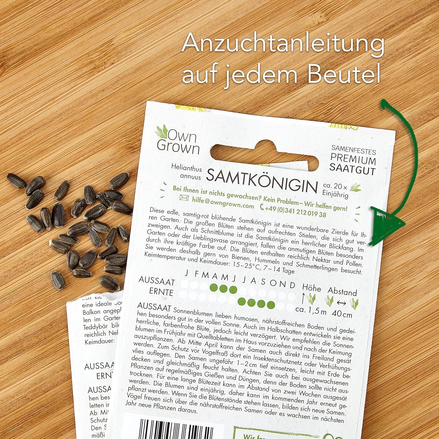 Graines de tournesol Discus jaunes (Helianthus annuus) : graines de tournesol de qualité supérieure, graines de tournesol pour la culture d'environ 20 plantes de tournesol – graines de fleurs respectueuses des insectes de OwnGrown