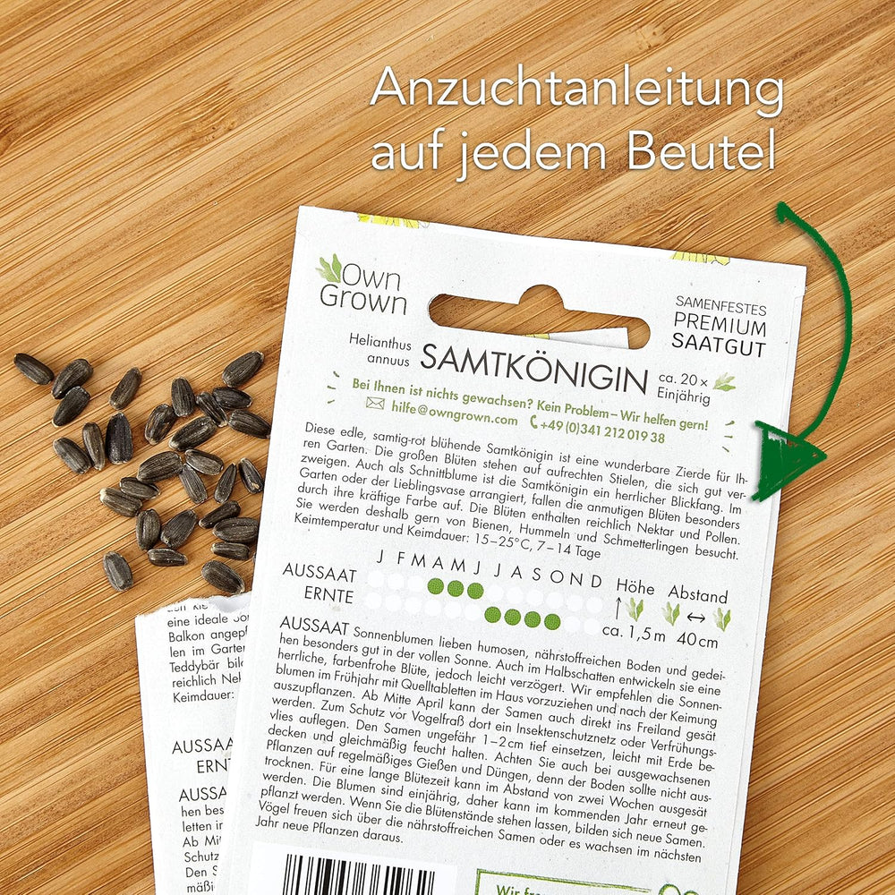 Graines de tournesol Discus jaunes (Helianthus annuus) : graines de tournesol de qualité supérieure, graines de tournesol pour la culture d'environ 20 plantes de tournesol – graines de fleurs respectueuses des insectes de OwnGrown