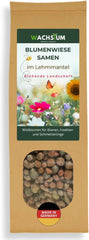 Graines de fleurs enrobées d'argile protectrice pour abeilles et papillons, 400g. Plantes vivaces et résistantes à l'hiver, créant un paysage fleuri de 20 m². De belles graines de fleurs sauvages pour un pâturage d’abeilles coloré. Cadeau pour les enfants.