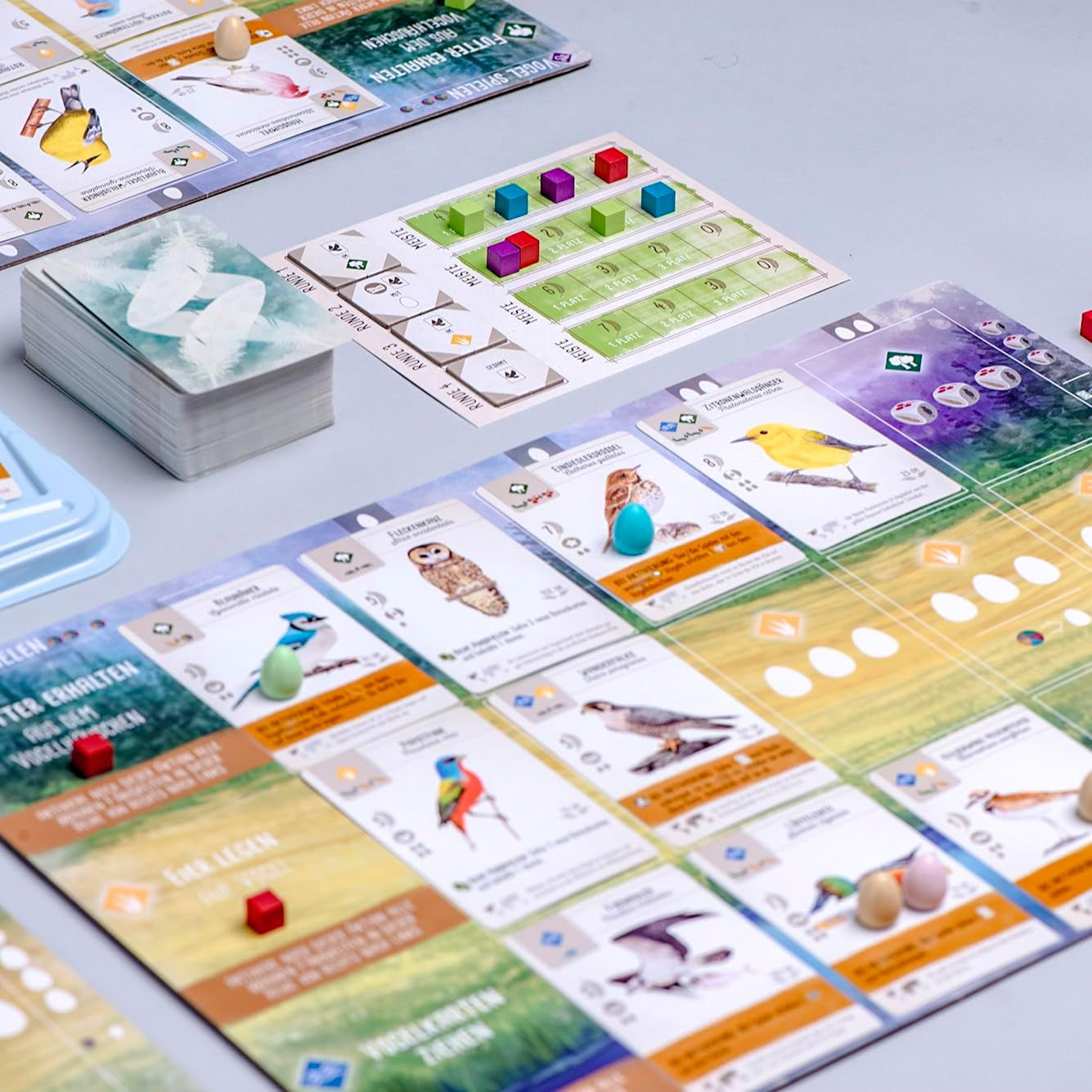 Feuerland Spiele 104-146-901 63558 Wingspan Board Game Édition allemande - Kennerspiel des Jahres 2019 (Prix de la Critique)