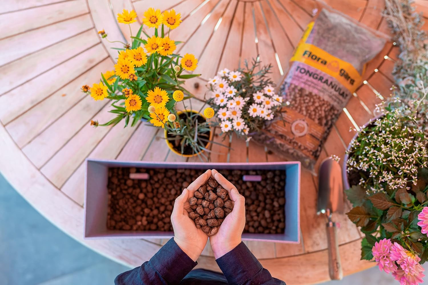 Granulés d'argile expansée Floragard 50 L - matériau de drainage naturel et substrat hydroponique pour pots, bacs, plantes d'intérieur et jardinières - évite l'accumulation d'eau, assure une bonne aération